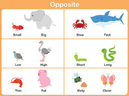 Fast animals